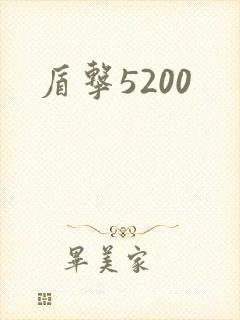 盾击5200