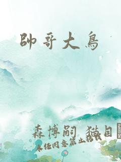 帅哥大鸟