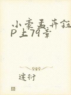 小豪孟卉钰慧三P上79章