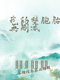 我的双胞胎老婆无删减