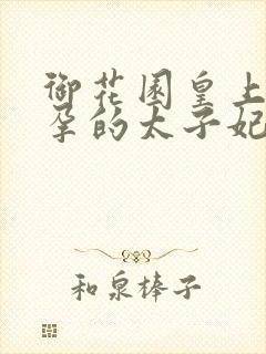 御花园皇上c有孕的太子妃