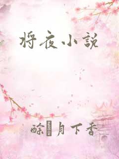 将夜小说