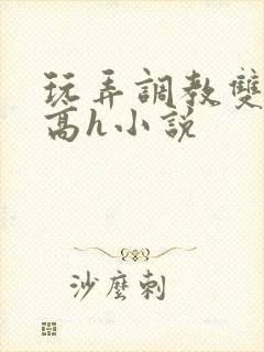 玩弄调教双胞胎高h小说