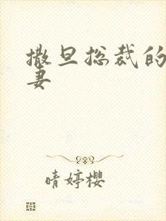 撒旦总裁的下堂妻