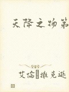 天降之物第一季