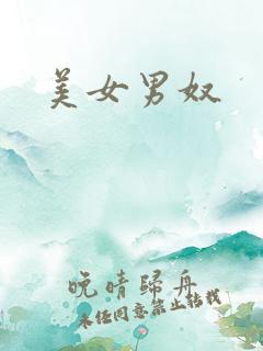 美女男奴
