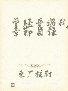 曾经爱过我刘念章节目录