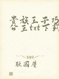 贵族王子巧遇穷公主txt下载