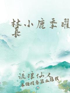 林小鹿季曜珉机长