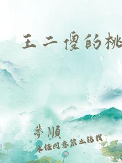 王二傻的桃花运
