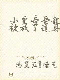 小皇帝受龙椅上被放了道具