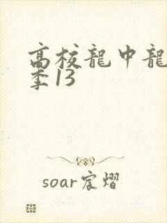 高校龙中龙第二季13