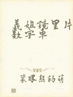 义姐镜里片微博数字车