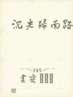 沉光归南路