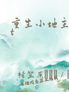 重生小地主txt