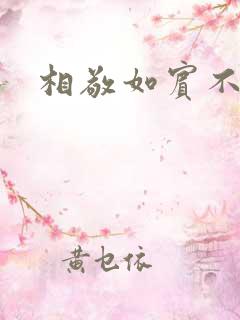 相敬如宾不相睹