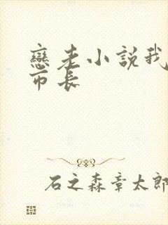 恋老小说我和老市长