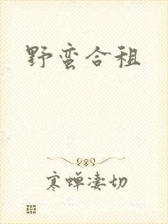 野蛮合租