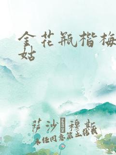 金花瓶楷梅花尼姑