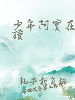 少年阿宾在线阅读