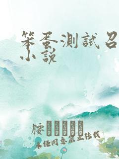 笨蛋测试召唤兽小说
