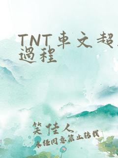 TNT车文超细过程
