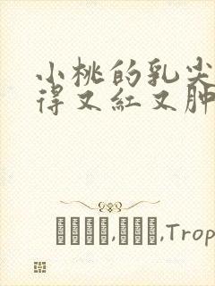 小桃的乳尖被吸得又红又肿