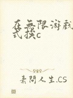 在无限游戏里花式挨c