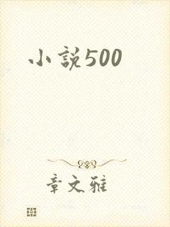 小说500