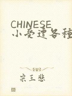 CHINESE小受遭各种打桩