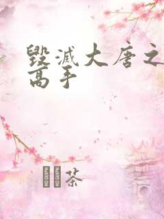 毁灭大唐之异能高手