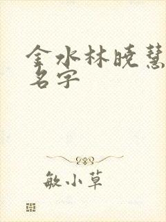 金水林晓慧小说名字