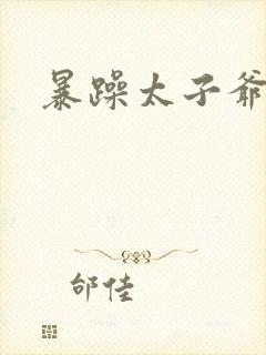 暴躁太子爷