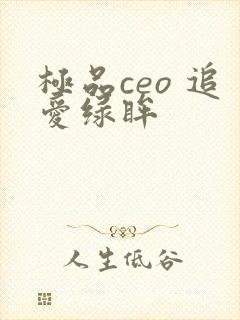 极品ceo 追爱绿眸