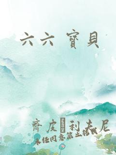 六六 宝贝