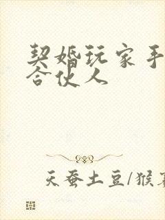 契婚玩家手册之合伙人