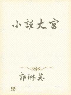小说大宫