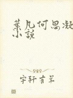 叶凡何思凝七月小说