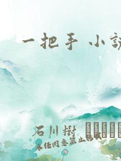 一把手 小说