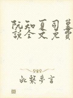 阮知夏司暮寒小说全文免费