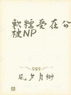 软糯受在公交车被NP