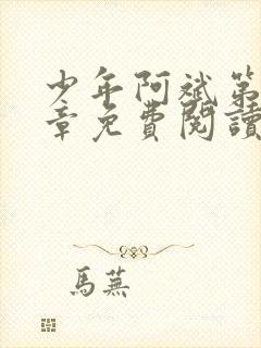 少年阿斌第13章免费阅读