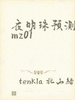 夜明珠预测 ymz01