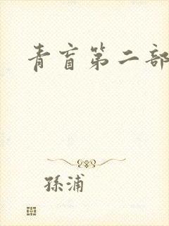 青盲第二部