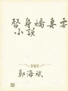 替身娇妻要离婚 小说