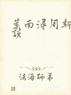 叶南浔周斯年小说