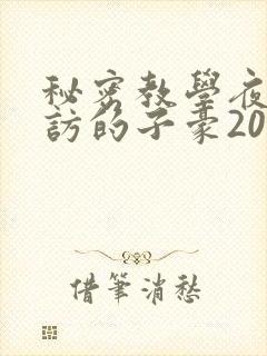 秘密教学夜晚到访的子豪20话