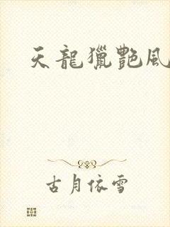 天龙猎艳风流
