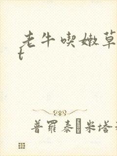 老牛吃嫩草txt