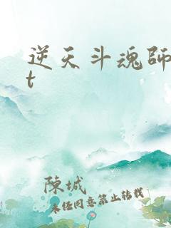 逆天斗魂师txt